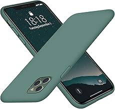 cases11pro